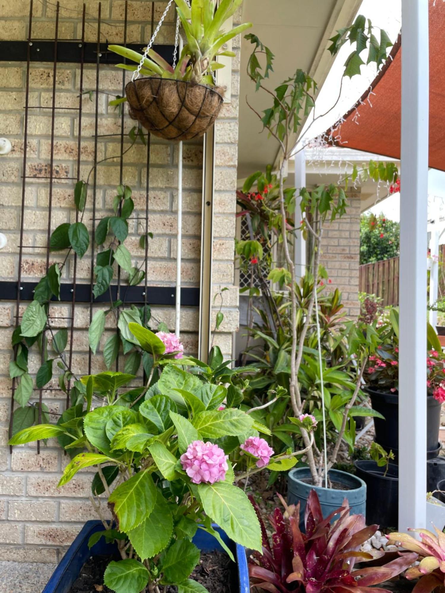 Guest house Theme Parks Amituofo Homestay Gold Coast